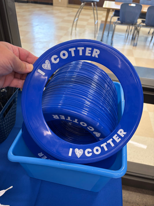 Ring Flyer (Frisbee)